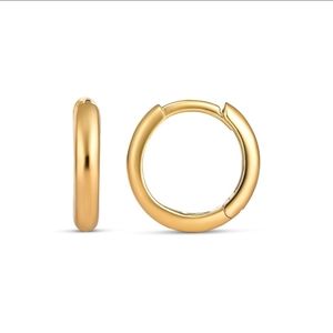New Gorjana Earrings